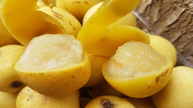 6 Manfaat Buah Marula untuk Kesehatan